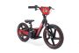 Elektrische kinderbalancer RIRIBIKE RTX6 24V (16