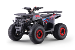 ATV - Quad voor Kinderen Beneo Motors WARRIOR Rood - 125cc