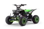 ATV - Quad voor kinderen Beneo Motors ZXY Groente - 125cc