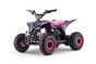 Elektrische ATV - Quad voor kinderen Beneo Motors T-REX Roos - 1300W