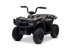 Gelicentieerde elektrische Arctic Cat 12V quad, achterwielaandrijving, zwart, LED-verlichting, lithiumbatterij, 2 x 25W motoren