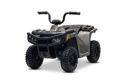 Gelicentieerde elektrische Arctic Cat 12V quad, achterwielaandrijving, grijze, LED-verlichting, lithiumbatterij, 2 x 25W motoren