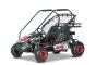 Benzine Go-Kart voor kinderen Beneo Motors BUGGY RSX XL rood - 212 cm³