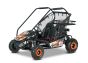 Benzine Go-Kart voor kinderen Beneo Motors BUGGY RSX XL oranje - 212 cm³