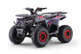 ATV - Quad voor Kinderen Beneo Motors WARRIOR Rood - 125cc